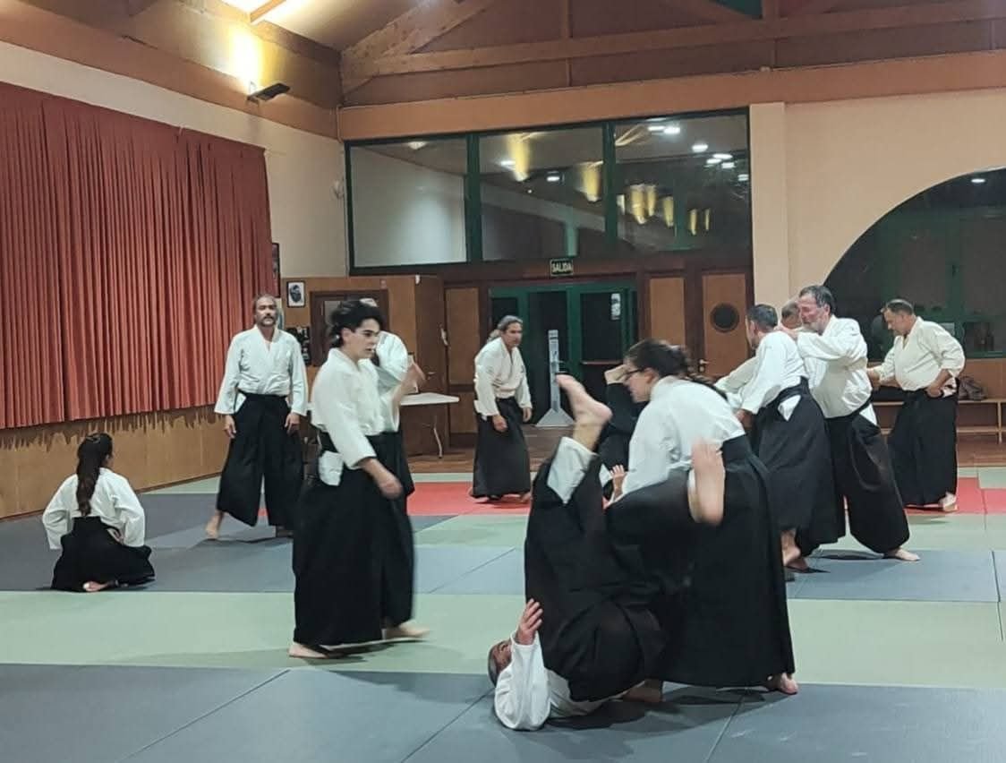 Práctica de técnicas en la clase de adultos de Kaika Dojo