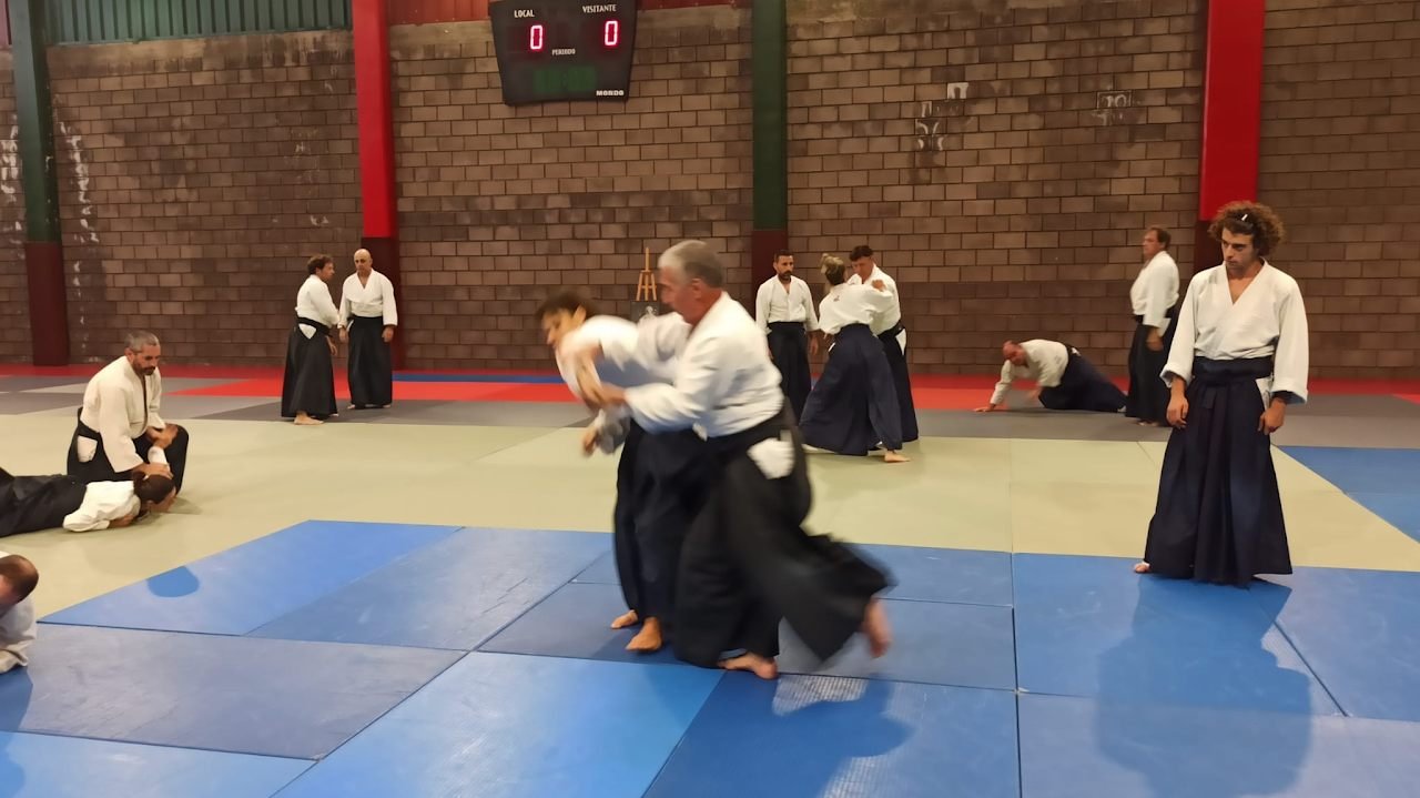 Práctica grupal de técnicas de Aikido sobre el tatami