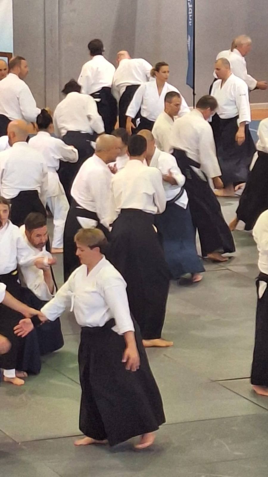 Aikidokas practicando técnicas durante el seminario